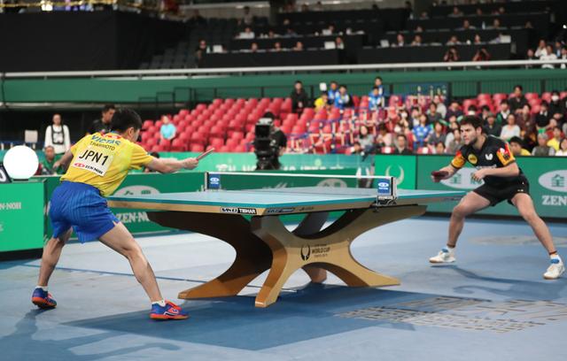 奥地利队横扫德国队，张本智和刷新纪录