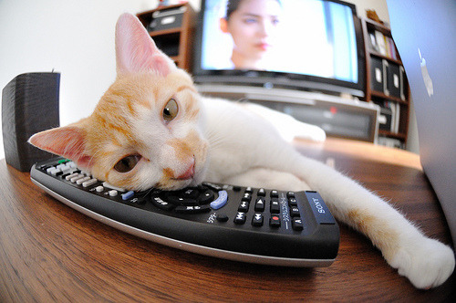 金色黄昏与未来，贝林厄姆一人改写剧本，利物浦逆转荷兰风暴