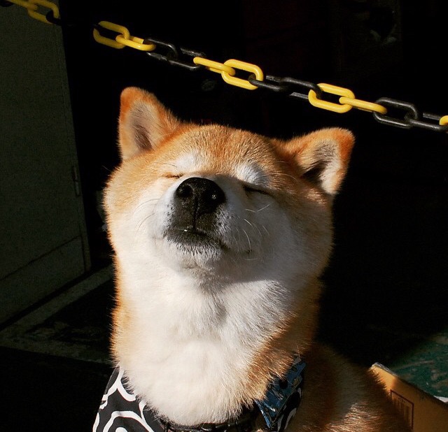 0.002秒定乾坤！红牛极限绝杀梅奔，但真正统治赛道的是他