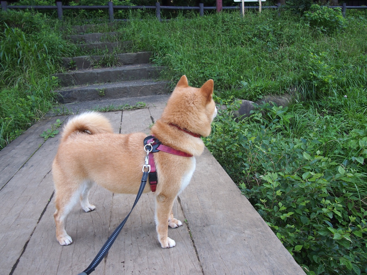 爱游戏-世界排名争夺战之夜，当所有人都被压得喘不过气，巴斯托尼却如呼吸般从容