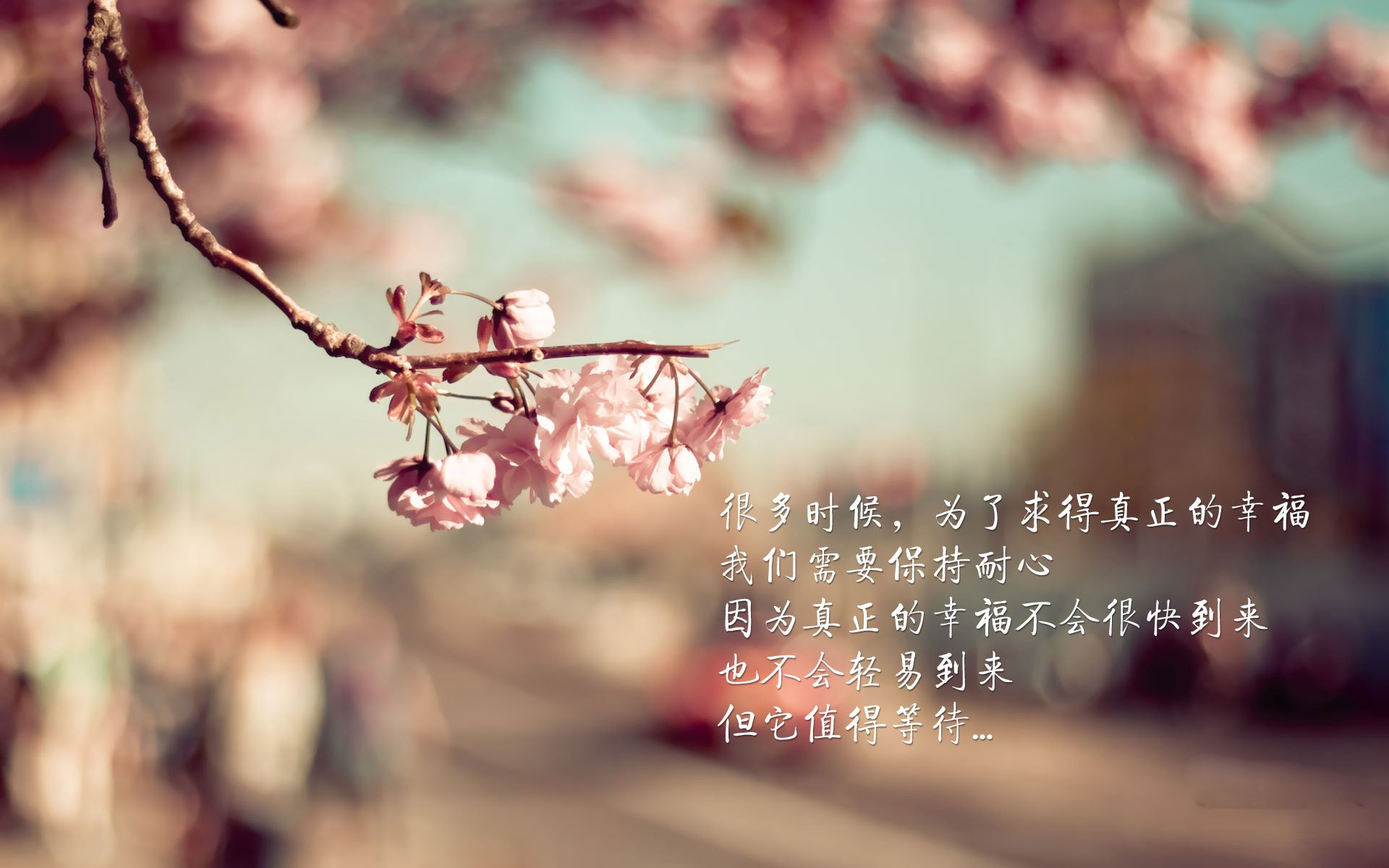 铁幕与利刃，巴斯托尼的防线艺术与伊朗的战术终结