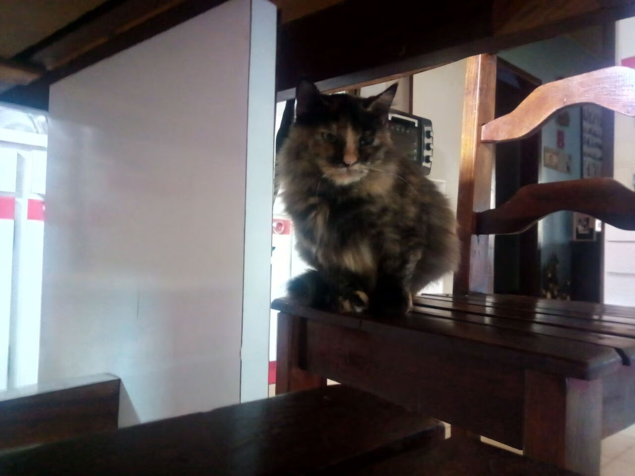 水墨丹青战爵士，字母哥一手掌控的东方棋局