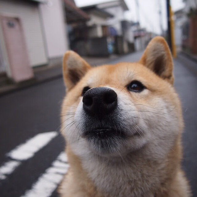 爱游戏-淬火之战，上海加时克热浪，恩比德登顶霸权争夺