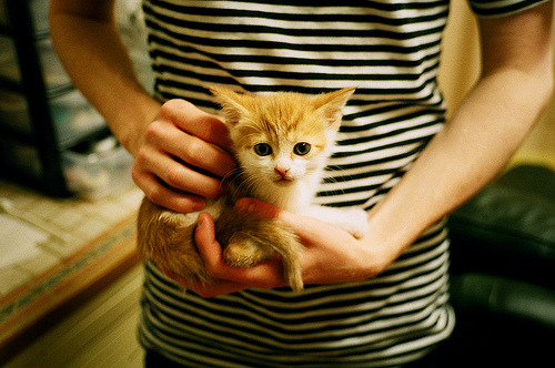 西甲国家德比之夜，卡拉斯科的电光火石与百年洪流的孤独对望