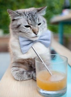 唯一性的双重奏，步行者团队收割爵士与布克决赛接管传奇