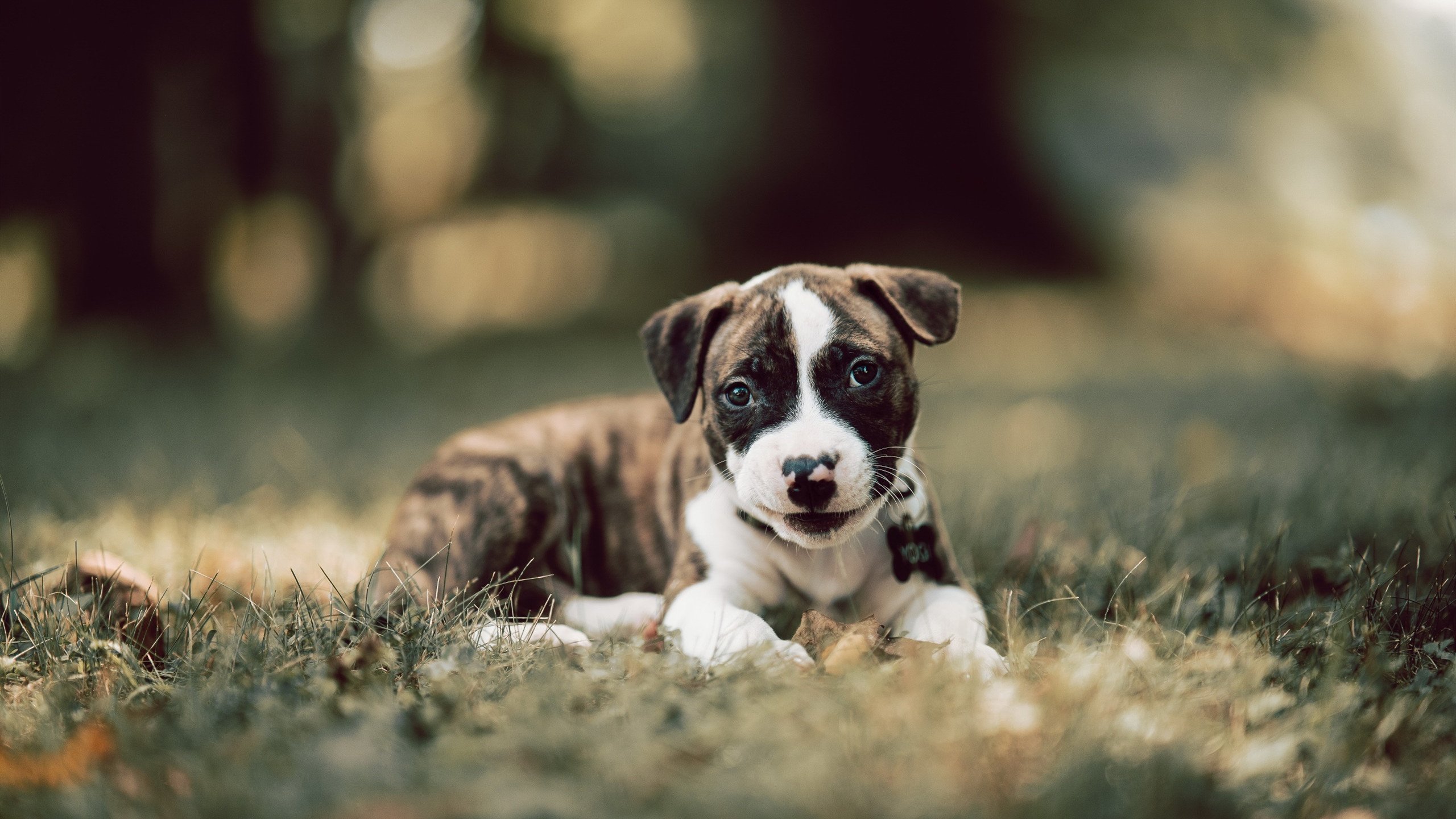 爱游戏娱乐-临界点上的金色印记，贝林厄姆三个黄金时刻点燃世界排名争夺战之夜