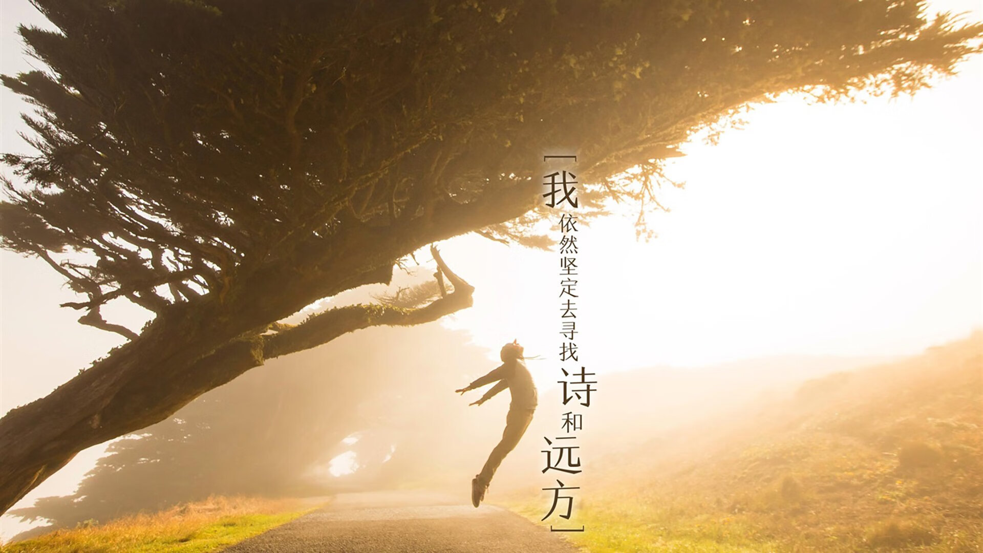 非常有意思—它巧妙地结合了两个不同维度的足球世界。让我试着在保留核心要素的前提下，为您构建一个逻辑自洽且精彩的故事