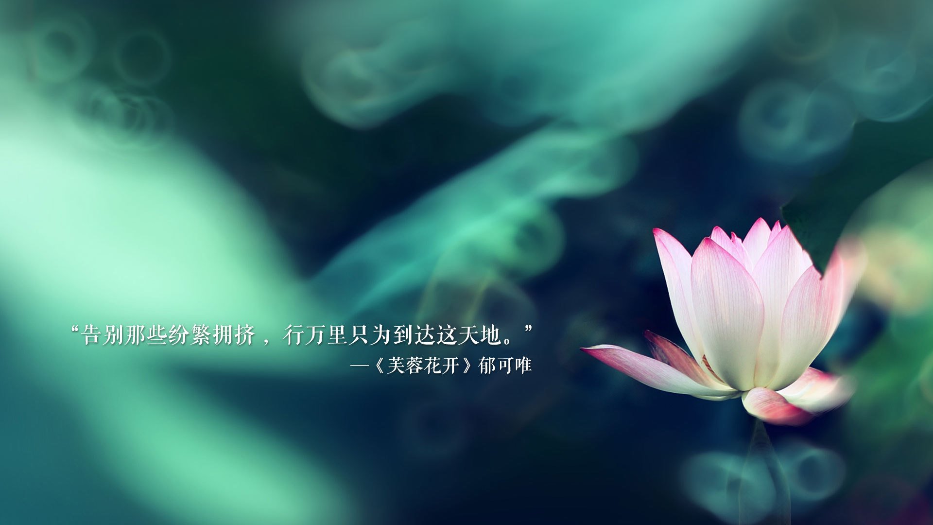 无声的共振，2026世界杯F组德国vs泰国，塔雷米如何用一记传球改写足球逻辑