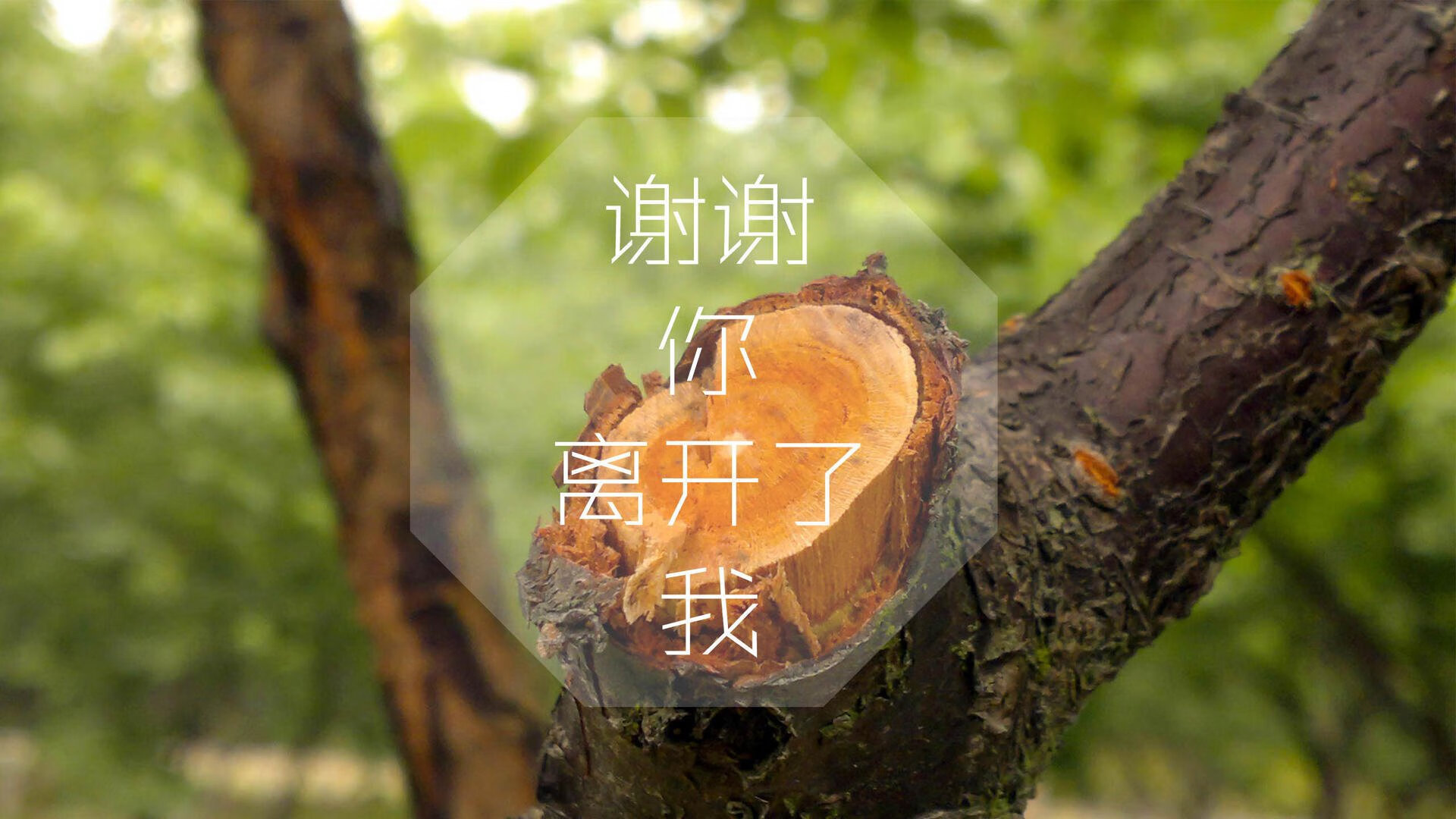 绝境重生,2026世界杯C组关键战,德国逆转喀麦隆,坎塞洛带队书写唯一传奇