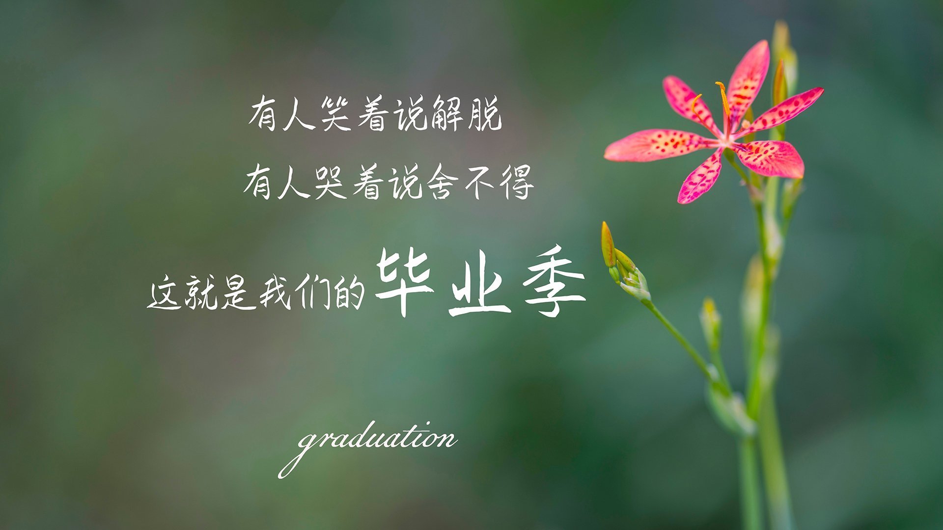 蓝衣孤刃,格列兹曼定义2026世界杯唯一胜负手,日本防反大破匈牙利