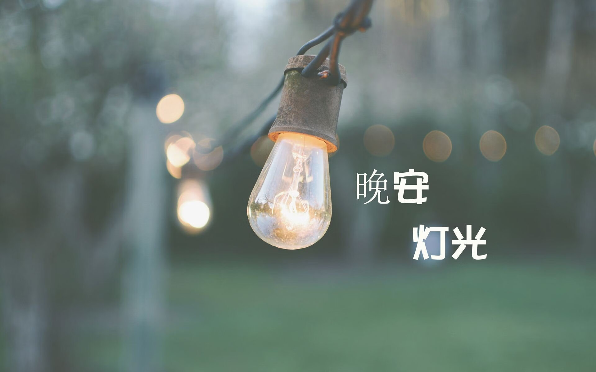 爱游戏在线-2026世界杯E组风云突变，加纳横扫波兰，坎塞洛一球成名震撼足坛